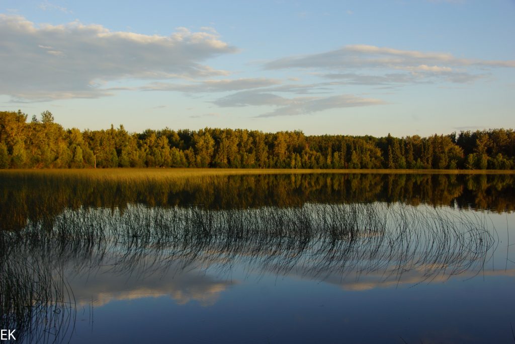 Lake Economy