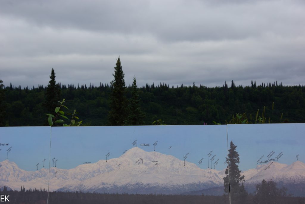 Denali Viewpoint: Unten "soll", oben "ist"