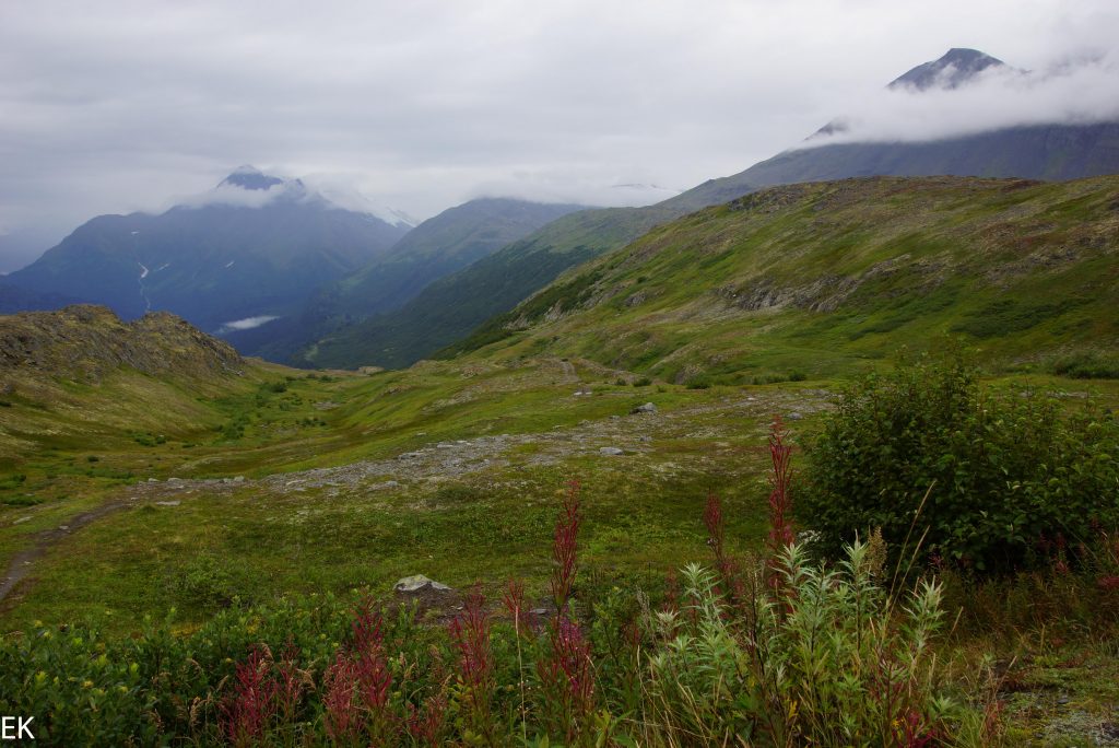 Berge, und Gletscher, man kann sich kaum satt sehen