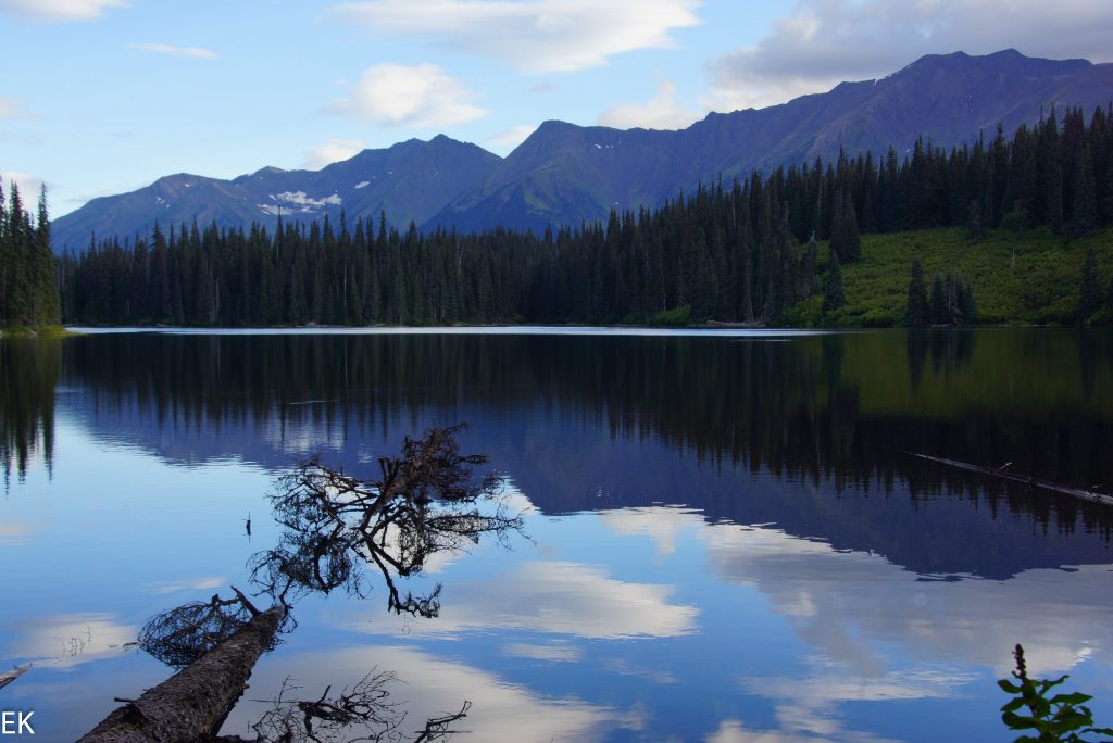 Stellplatz am Shirlaw Lake