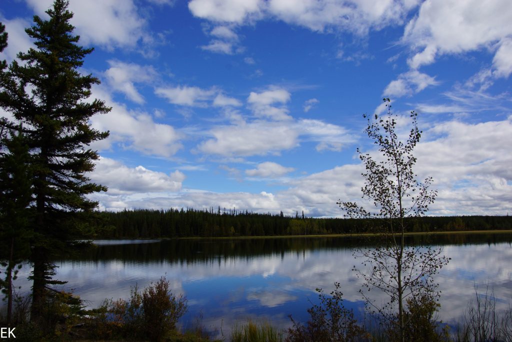 Poison Lake