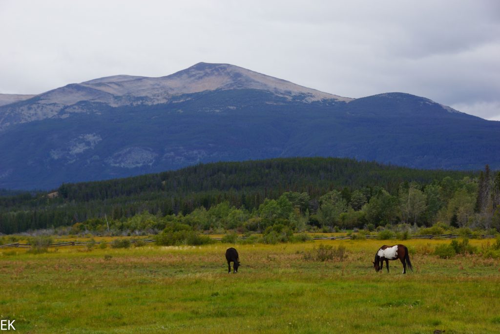 Die Pferdewiese vor der Lodge, Clearwater Lake dahinter.