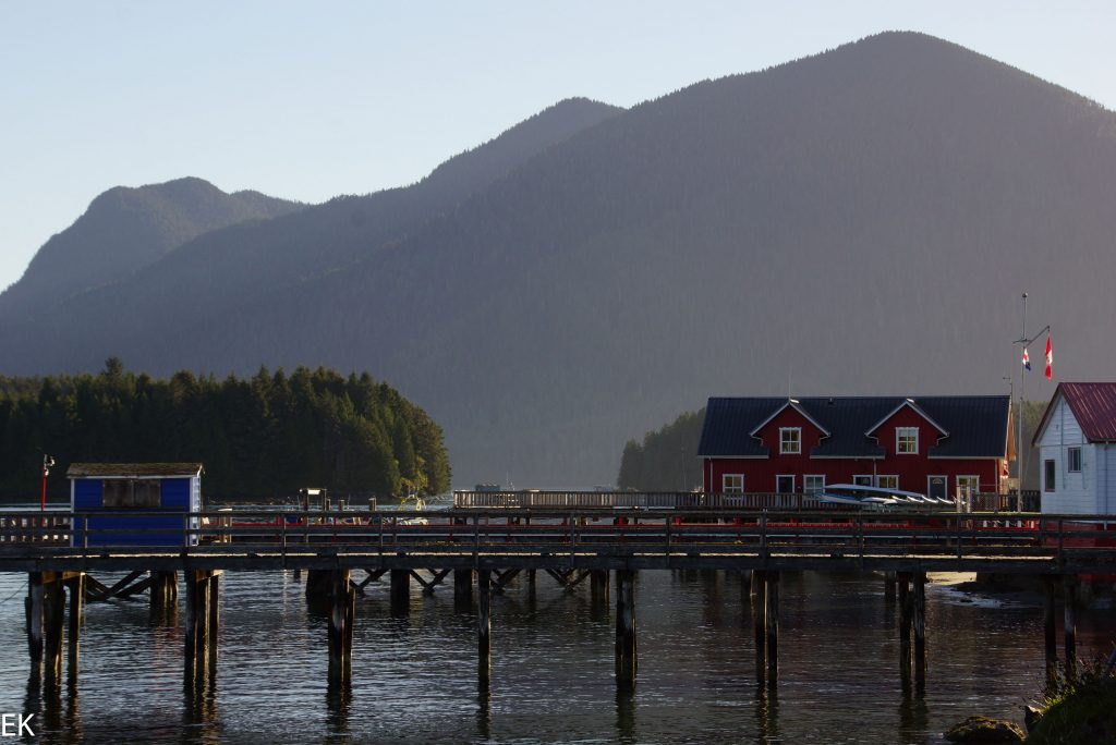 Tofino