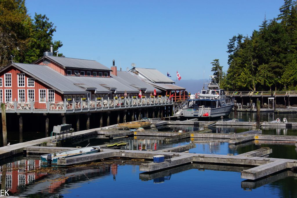 Telegraph Cove, Hafen und "unser" Boot