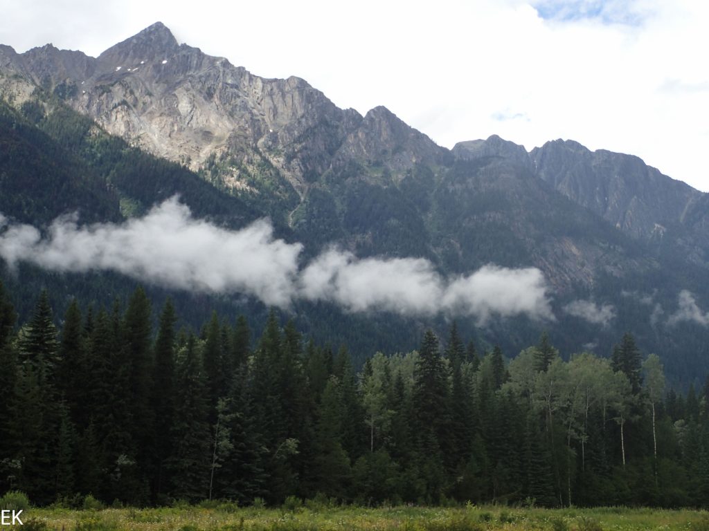 Berg Lake Trail