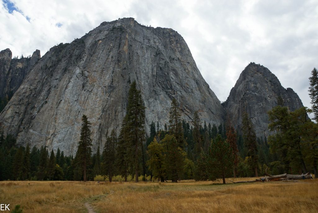 Meadows im Yosemite Valley