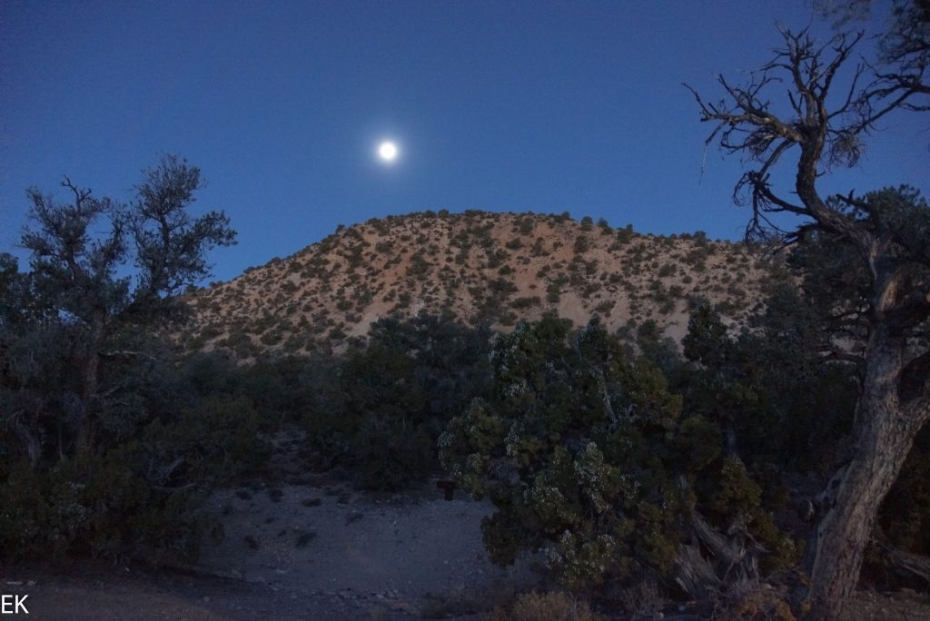 Mond- und Sonnenlicht